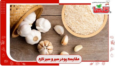 مقایسه پودر سیر و سیر تازه + ارزش غذایی، تفاوت‌ها و کاربردها